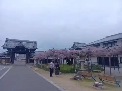 竹鼻別院(岐阜県)