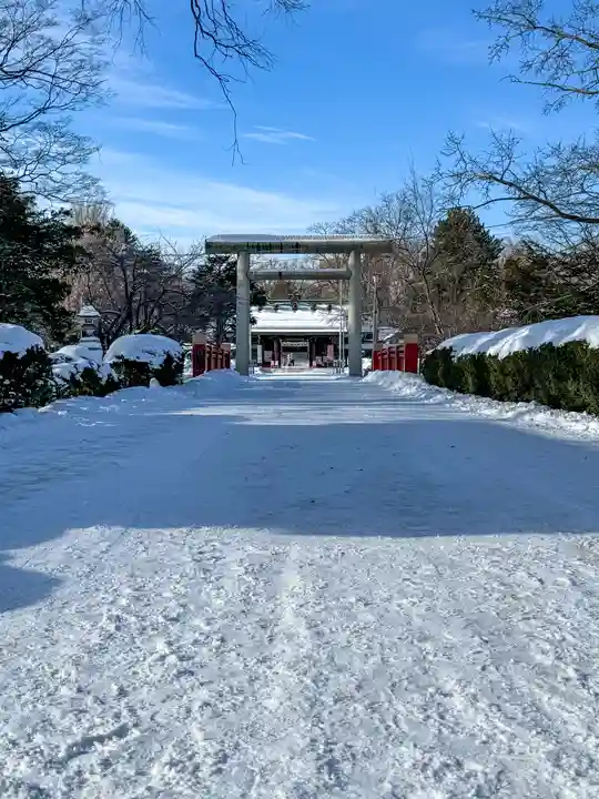 札幌護國神社の鳥居