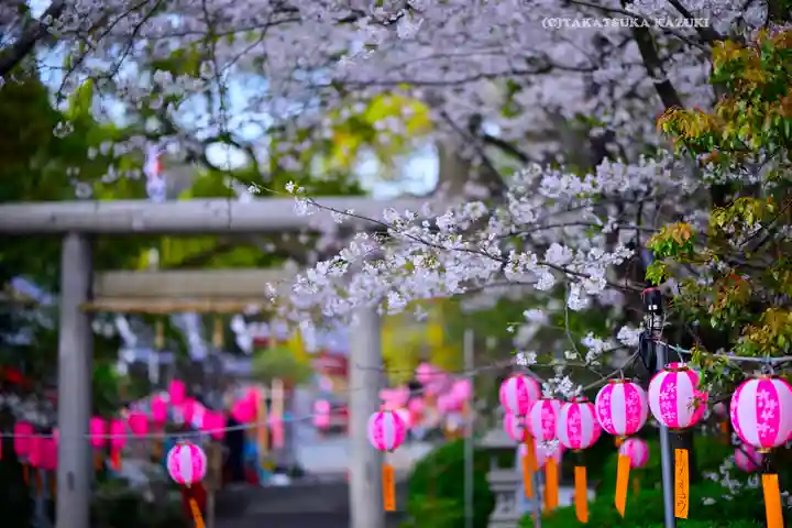 米之宮浅間神社(静岡県)