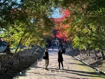 醍醐寺(京都府)