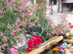 今市報徳二宮神社の手水