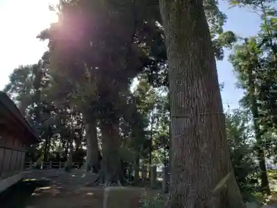 鶴峯八幡宮のその他建物