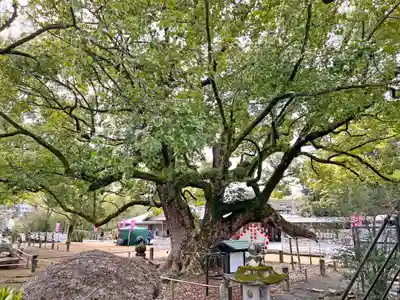 諫早神社（九州総守護  四面宮）(長崎県)