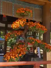 武蔵一宮氷川神社(埼玉県)