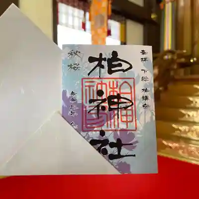 9月限定　秋桜（コスモス）