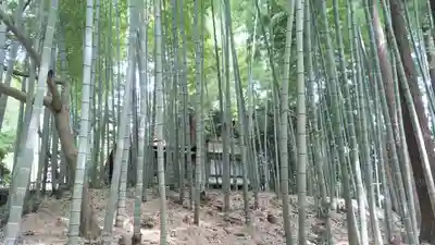 八王寺(埼玉県)