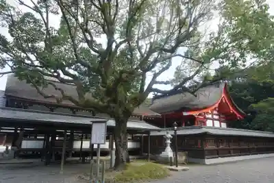 宗像大社の本殿・本堂