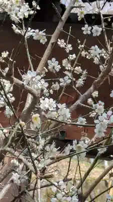 大豊神社(京都府)