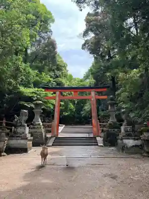 春日大社(奈良県)