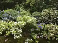 高幡不動尊 金剛寺(東京都)