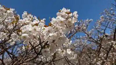 仁和寺(京都府)