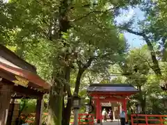 愛宕神社の建物その他