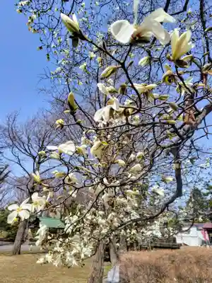 厚別神社(北海道)