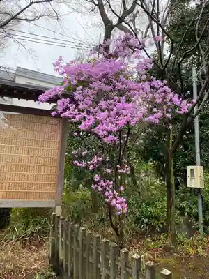 青渭神社(東京都)