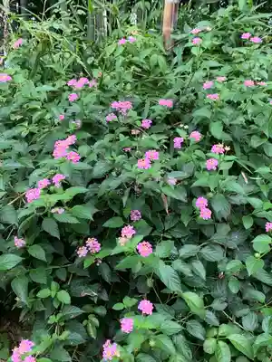 諏訪神社(神奈川県)