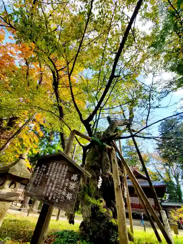 蠶養國神社の自然