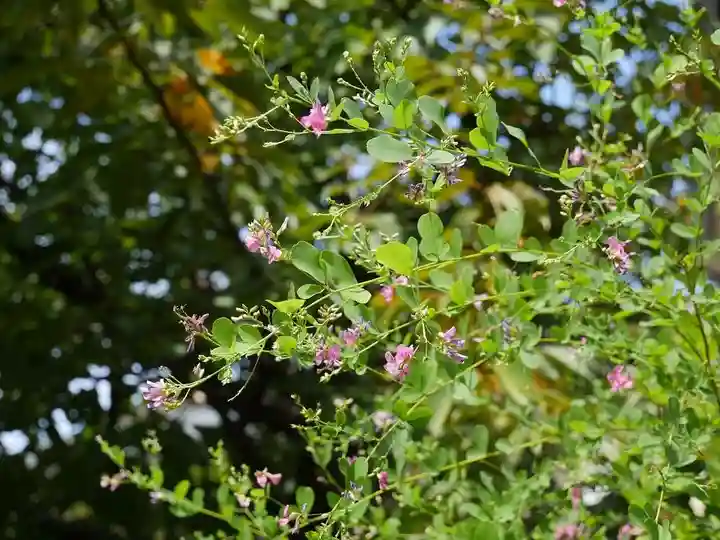 龍眼寺(萩寺)の自然