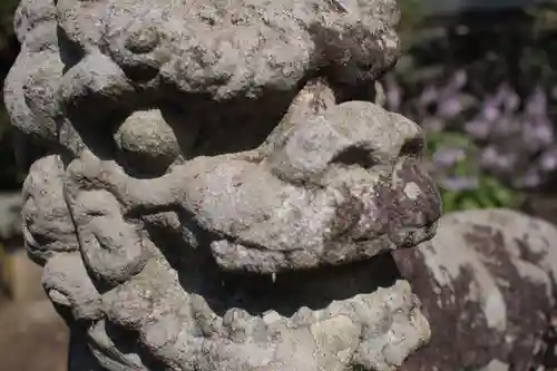 筑波山神社の狛犬