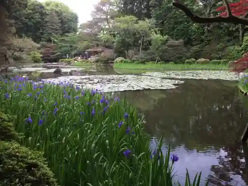 平安神宮の庭園