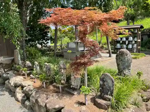 祥龍山 金剛寺の仏像