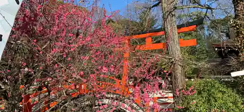 賀茂御祖神社（下鴨神社）の鳥居