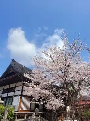 妙林寺(福島県)