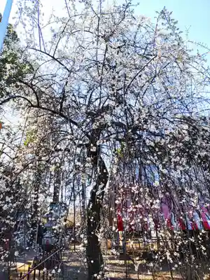 水海道天満宮(茨城県)