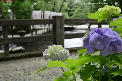 平塚八幡宮(神奈川県)