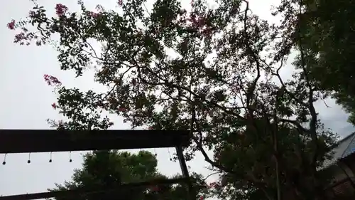 田中神社(京都府)