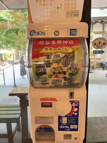 越谷香取神社のおみくじ