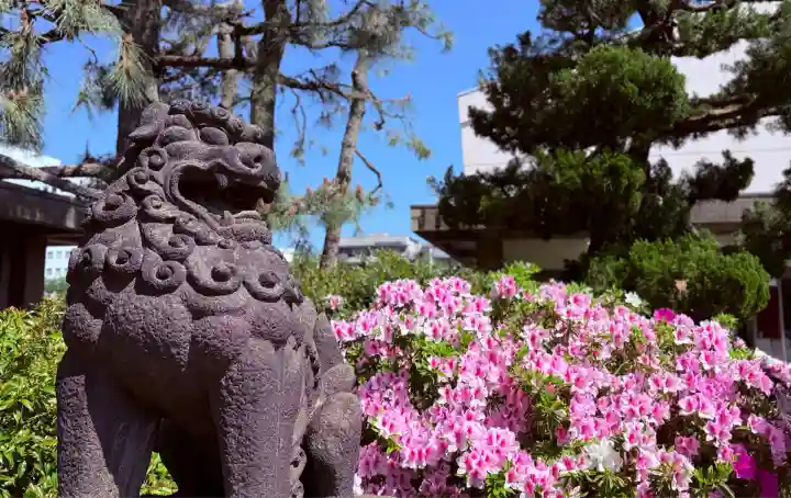 福井神社(福井県)
