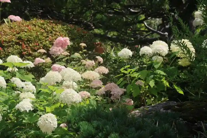豊景神社の庭園
