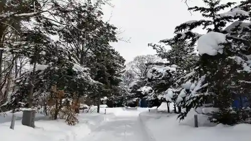 東神楽神社の景色