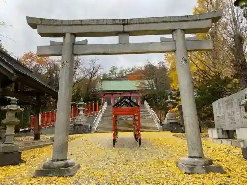 住吉神社の{uncategorized: "未分類", other: "その他", undefined: "問題あり", building: "その他建物", grave: "お墓", sacred_gate: "鳥居", guardian: "狛犬", statue: "像", buddha: "仏像", history: "歴史", nature: "自然", garden: "庭園", animal: "動物", pagoda: "塔", temizu: "手水舎", mountain_gate: "山門・神門", sanctuary: "本殿・本堂", subordinate: "末社・摂社", art: "芸術", scenery: "景色", jizo: "地蔵", ema: "絵馬", goshuin: "御朱印", omikuji: "おみくじ", items: "授与品その他", amulet: "お守り", goshuincho: "御朱印帳", eats: "食事", festival: "お祭り", votive_dance: "神楽", shichigosan: "七五三参", wedding: "結婚式", experience: "体験その他", initially: "初詣", around: "周辺", anti_infection: "感染症対策"}