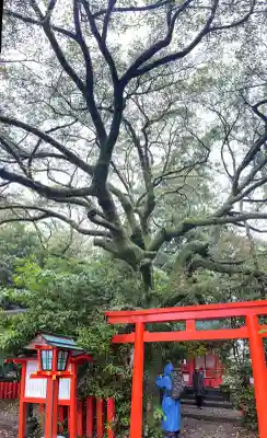 熊野速玉大社の{uncategorized: "未分類", other: "その他", undefined: "問題あり", building: "その他建物", grave: "お墓", sacred_gate: "鳥居", guardian: "狛犬", statue: "像", buddha: "仏像", history: "歴史", nature: "自然", garden: "庭園", animal: "動物", pagoda: "塔", temizu: "手水舎", mountain_gate: "山門・神門", sanctuary: "本殿・本堂", subordinate: "末社・摂社", art: "芸術", scenery: "景色", jizo: "地蔵", ema: "絵馬", goshuin: "御朱印", omikuji: "おみくじ", items: "授与品その他", amulet: "お守り", goshuincho: "御朱印帳", eats: "食事", festival: "お祭り", votive_dance: "神楽", shichigosan: "七五三参", wedding: "結婚式", experience: "体験その他", initially: "初詣", around: "周辺", anti_infection: "感染症対策"}