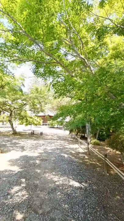福性寺(茨城県)