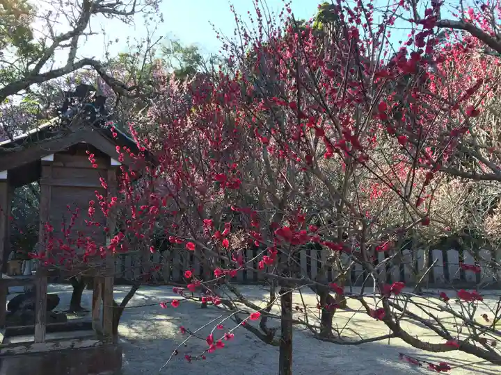 綱敷天満宮(福岡県)