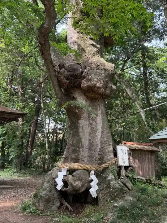 中村八幡宮(栃木県)