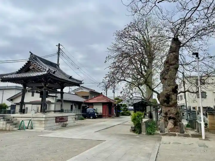 多聞寺の{uncategorized: "未分類", other: "その他", undefined: "問題あり", building: "その他建物", grave: "お墓", sacred_gate: "鳥居", guardian: "狛犬", statue: "像", buddha: "仏像", history: "歴史", nature: "自然", garden: "庭園", animal: "動物", pagoda: "塔", temizu: "手水舎", mountain_gate: "山門・神門", sanctuary: "本殿・本堂", subordinate: "末社・摂社", art: "芸術", scenery: "景色", jizo: "地蔵", ema: "絵馬", goshuin: "御朱印", omikuji: "おみくじ", items: "授与品その他", amulet: "お守り", goshuincho: "御朱印帳", eats: "食事", festival: "お祭り", votive_dance: "神楽", shichigosan: "七五三参", wedding: "結婚式", experience: "体験その他", initially: "初詣", around: "周辺", anti_infection: "感染症対策"}