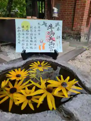 牛嶋天満宮　見開き御朱印　※ハート（猪目）の手水鉢で撮影しました。