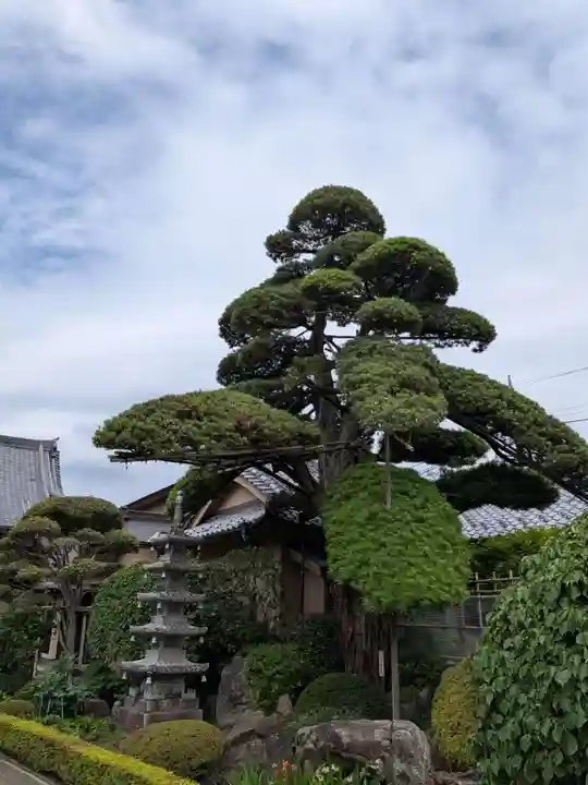 松應寺(東京都)