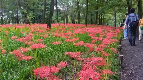 金刀比羅神社の周辺