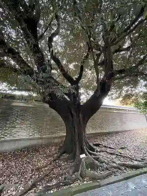 湯島聖堂(東京都)