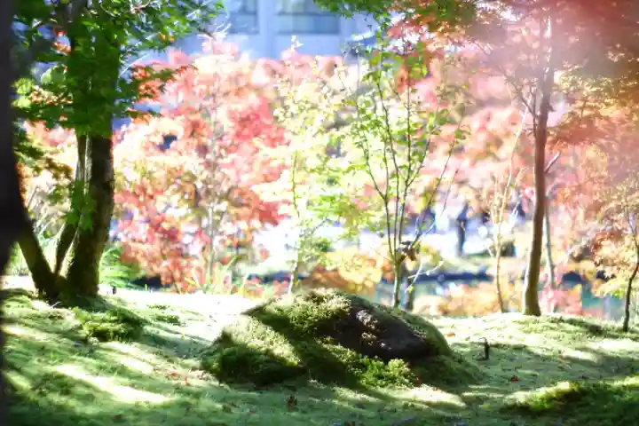 禅林寺(永観堂)(京都府)