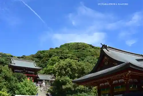 鶴岡八幡宮の景色