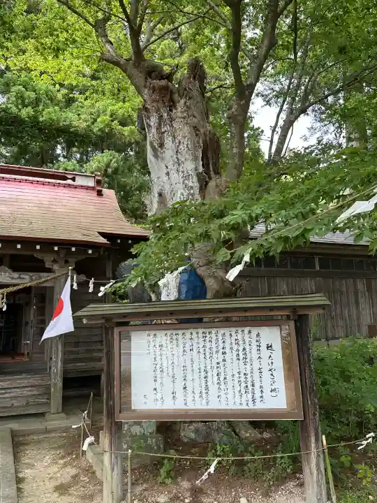 鹿嶋神社(宮城県)