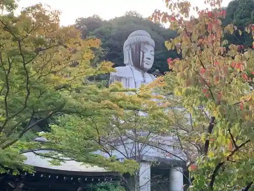 南法華寺（壷阪寺）の本殿