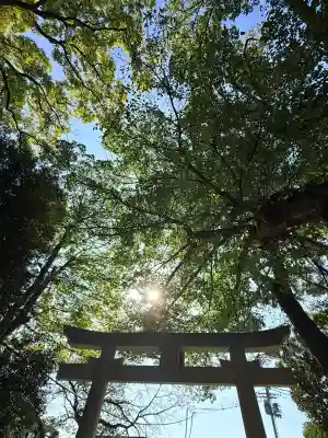 弓弦羽神社(兵庫県)