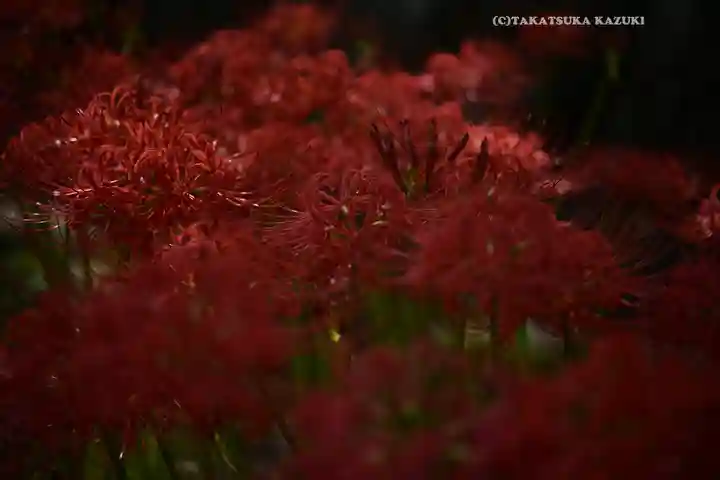 横浜 西方寺(神奈川県)