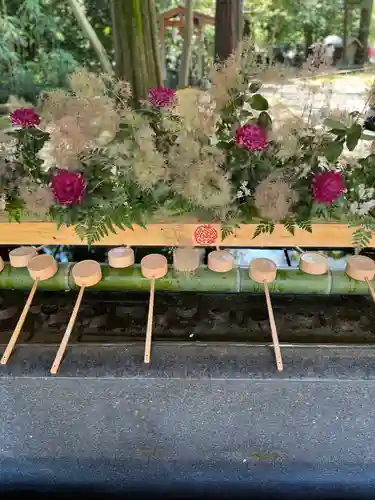 武蔵一宮氷川神社(埼玉県)